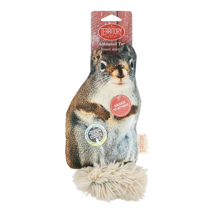 Territory Dog Flopper Squirrel 11 Inch