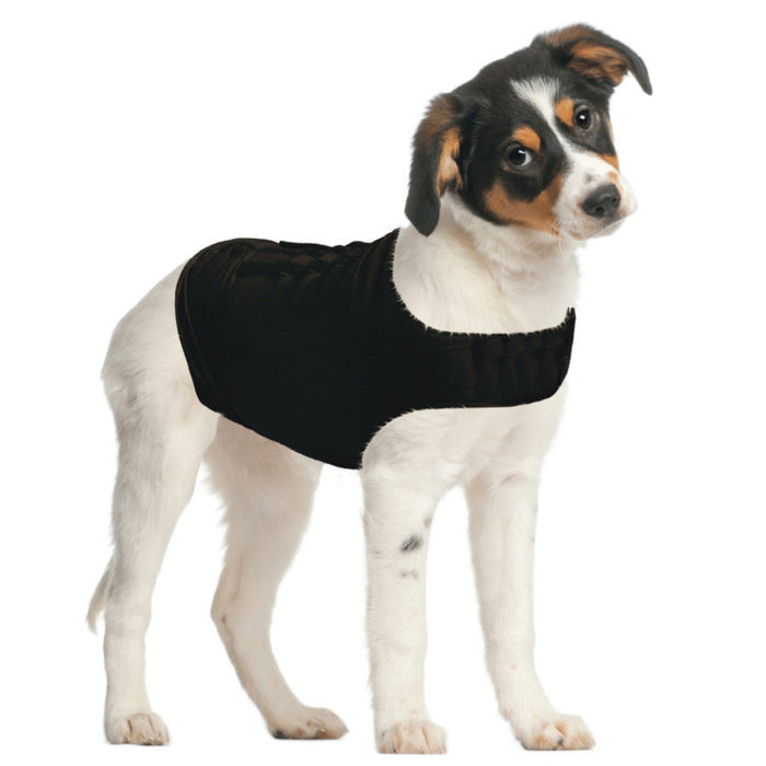 ZenPet ZenDog+ Compression Shirt 1ea/SM