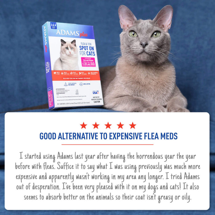 Adams Plus Flea & Tick Spot On for Cats & Kittens 1ea/Over 5 lb - Petsplace.store