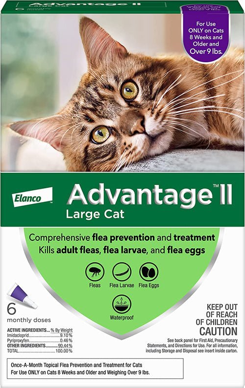 Advantage II Cat Large Purple 6 - Pack (Case of 6) - Petsplace.store