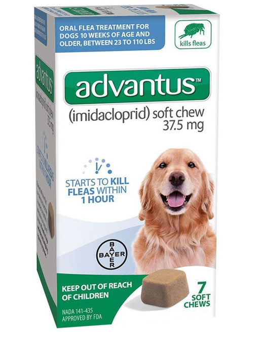 Advantus Dog Large 37.5Mg Soft Chew 7Ct. - Petsplace.store