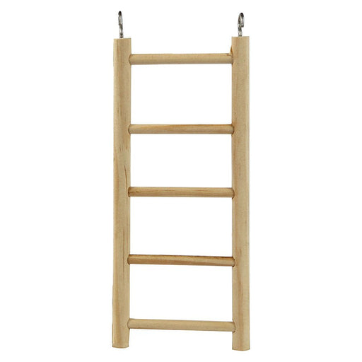 A&E Cages Rung Ladder 1ea/SM: 8 in - Petsplace.store