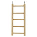 A&E Cages Rung Ladder 1ea/SM: 8 in - Petsplace.store