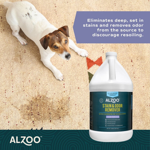 Alzoo Stain & Odor Remover Lavender Vanilla 1gal. - Petsplace.store