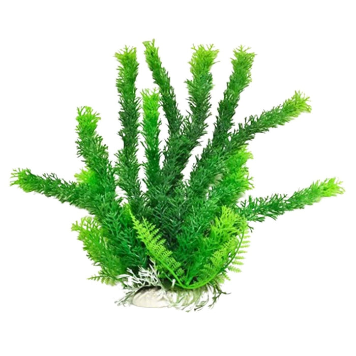 Aquatop Cabomba Aquarium Plant with Weighted Base Green 1ea/12 in - Petsplace.store