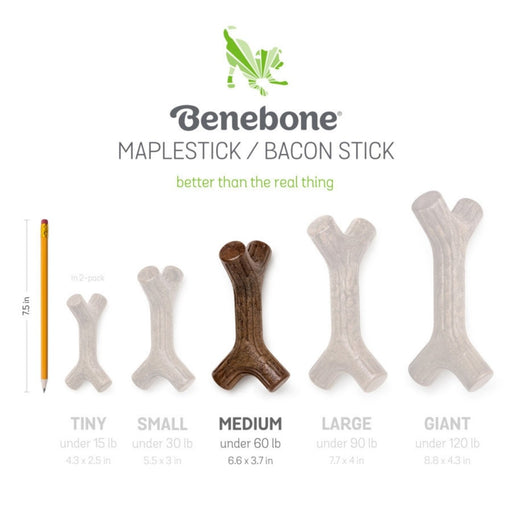 Benebone Maplestick Durable Dog Chew Toy 1ea/MD - Petsplace.store