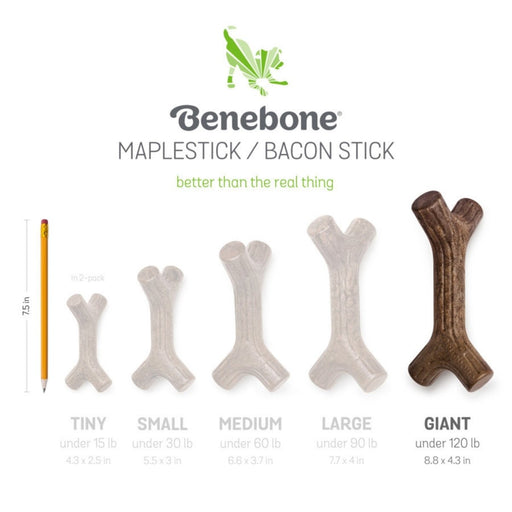 Benebone Maplestick Durable Dog Chew Toy 1ea/XL - Petsplace.store