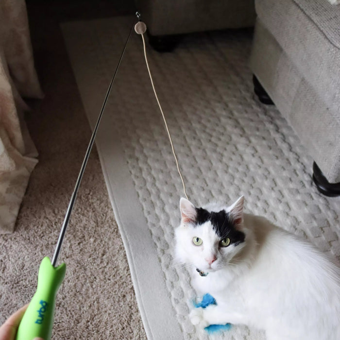 Bergan Turbo Telescoping Wand with LED Pointer Cat Toy - Petsplace.store