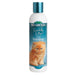 Bio Groom Kuddly Kitty Shampoo 1ea/8 Fl. oz - Petsplace.store