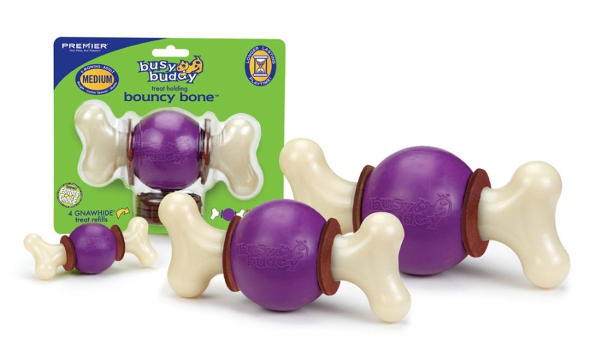 Busy Buddy Bouncy Bone Dog Chew Multi - Color 1ea/MD - Petsplace.store