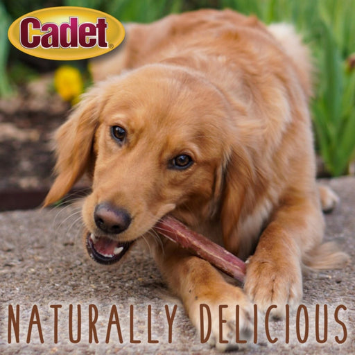 Cadet Large Bully Sticks 1ea/Large 10 ct - Petsplace.store