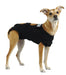 Calm Paws Calming Recovery Vest XLarge - Petsplace.store