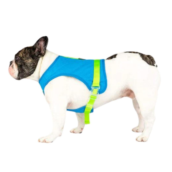 Canada Pooch Dog Cooling Harness Blue 10 - Petsplace.store