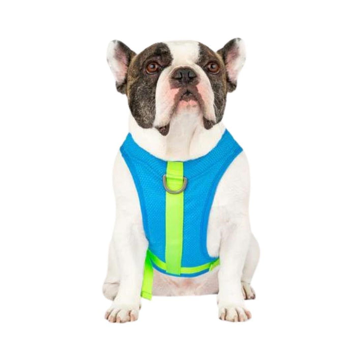 Canada Pooch Dog Cooling Harness Blue 10 - Petsplace.store