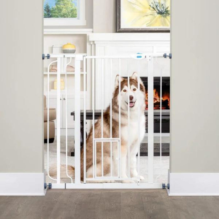 Carlson Expandable Extra Tall Walk - Thru Pet Gate White 29 - 36.5 X 36in. - Petsplace.store