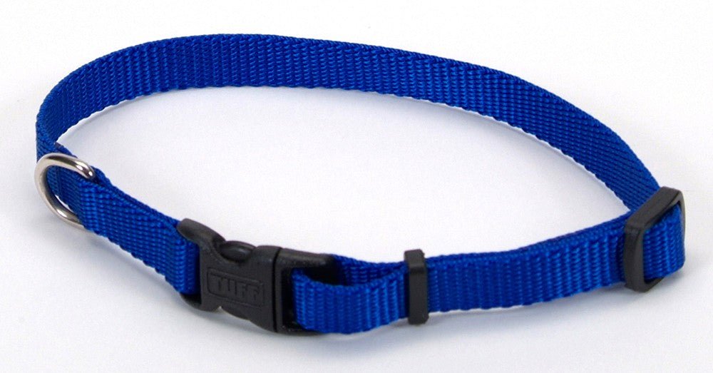 Coastal Adjustable Nylon Dog Collar with Plastic Buckle Blue 1ea/3/8 In X 8 - 12 in - Petsplace.store