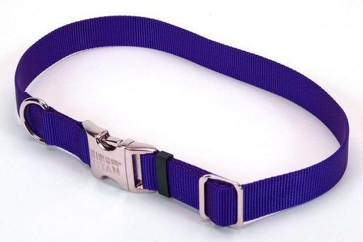 Coastal Adjustable Nylon Dog Collar with Titan Metal Buckle Blue 1ea/1 In X 18 - 26 in - Petsplace.store