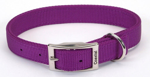 Coastal Double - Ply Nylon Collar Purple 1X24In - Petsplace.store