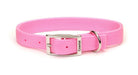 Coastal Double - Ply Nylon Dog Collar Pink Bright 1ea/1 In X 20 in - Petsplace.store