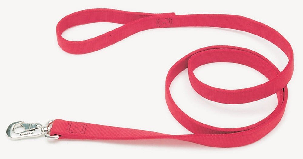 Coastal Double - Ply Nylon Dog Leash Red 1ea/1 In X 6 ft - Petsplace.store