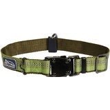 Coastal K9 Explorer 1 Inch Adj Collar Fern Green (12 - 18 Inch) - Petsplace.store