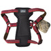 Coastal K9 Explorer 1 Inch Padded Harness Berry Red (20 - 30 Inch) - Petsplace.store