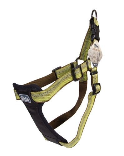 Coastal K9 Explorer 1 Inch Padded Harness Fern Green (20 - 30 Inch) - Petsplace.store