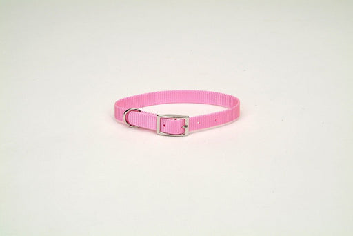 Coastal Single - Ply Nylon Collar Bright Pink 3/4X16In - Petsplace.store