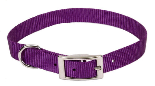 Coastal Single - Ply Nylon Collar Purple 3/8X12In - Petsplace.store