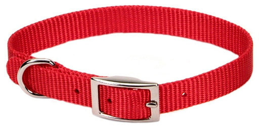 Coastal Single - Ply Nylon Collar Red 3/8X12In - Petsplace.store