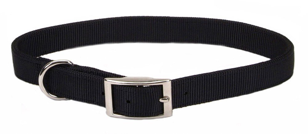 Coastal Single - Ply Nylon Dog Collar Black 1ea/5/8 In X 14 in - Petsplace.store