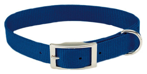 Coastal Single - Ply Nylon Dog Collar Blue 1ea/3/4 In X 16 in - Petsplace.store