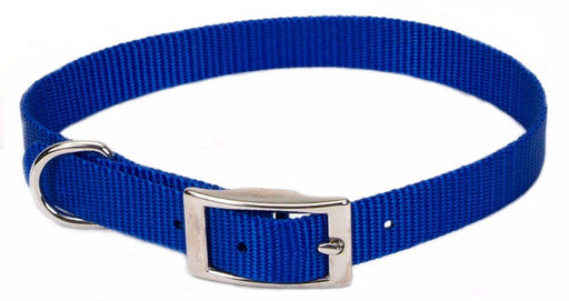 Coastal Single - Ply Nylon Dog Collar Blue 1ea/5/8 In X 14 in - Petsplace.store