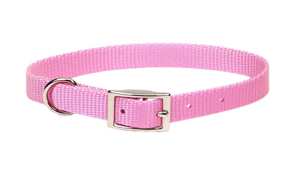 Coastal Single - Ply Nylon Dog Collar Pink Bright 1ea/5/8 In X 14 in - Petsplace.store