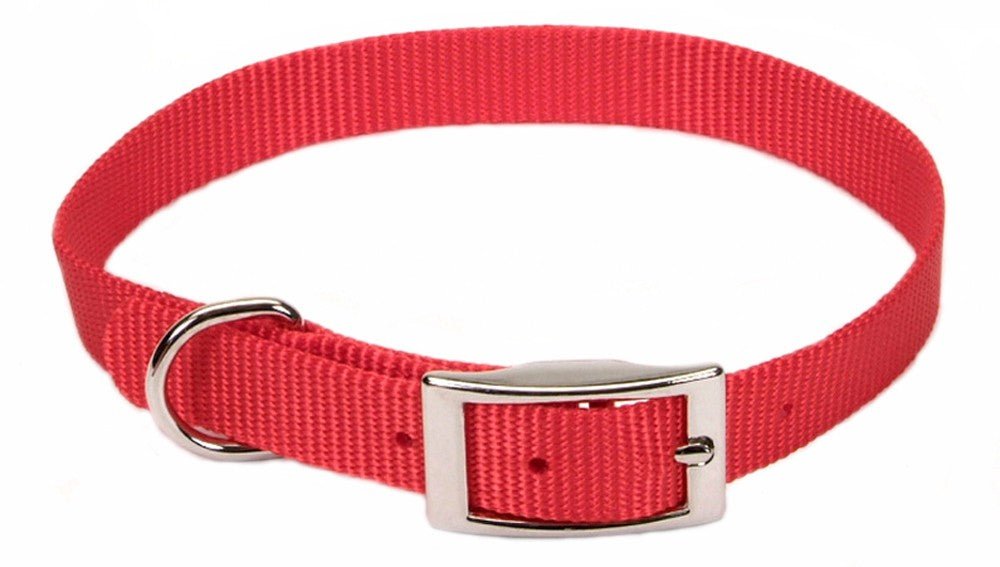 Coastal Single - Ply Nylon Dog Collar Red 1ea/5/8 In X 14 in - Petsplace.store