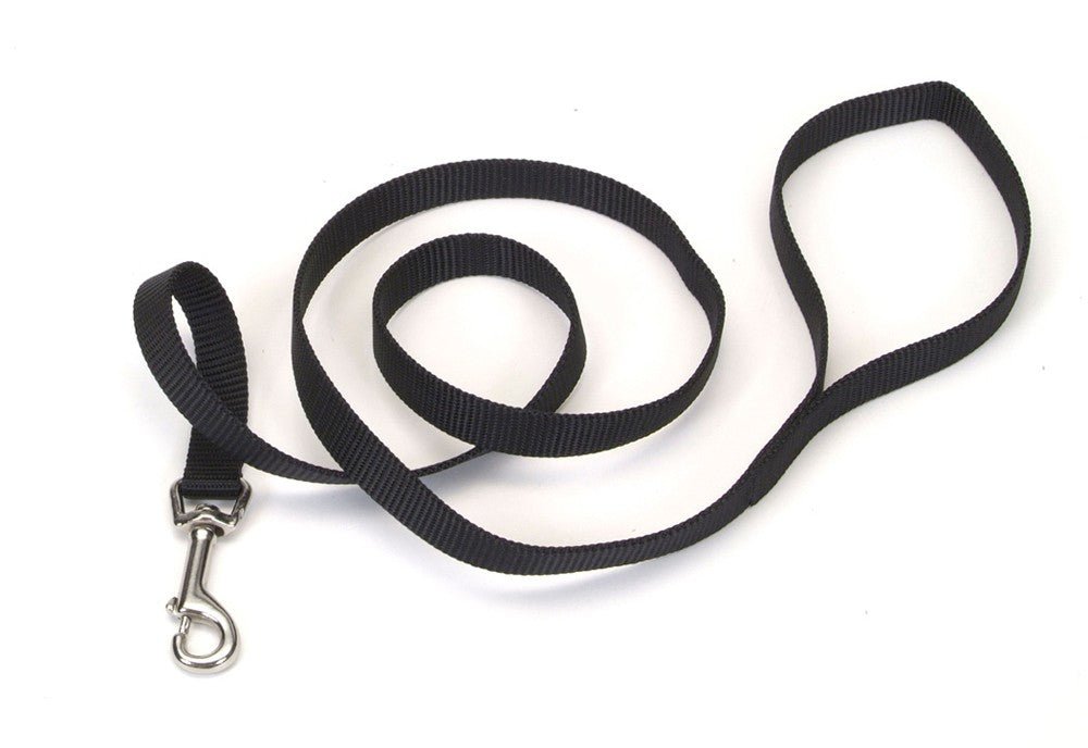 Coastal Single - Ply Nylon Dog Leash Black 1ea/5/8 In X 4 ft - Petsplace.store