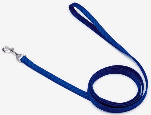 Coastal Single - Ply Nylon Dog Leash Blue 1ea/3/4 In X 6 ft - Petsplace.store