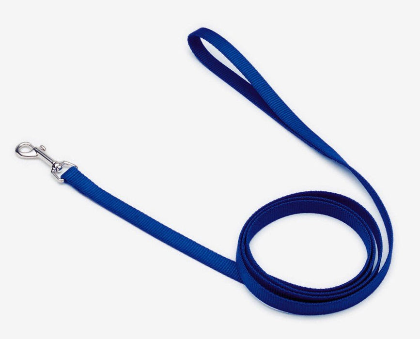 Coastal Single - Ply Nylon Dog Leash Blue 1ea/5/8 In X 4 ft - Petsplace.store