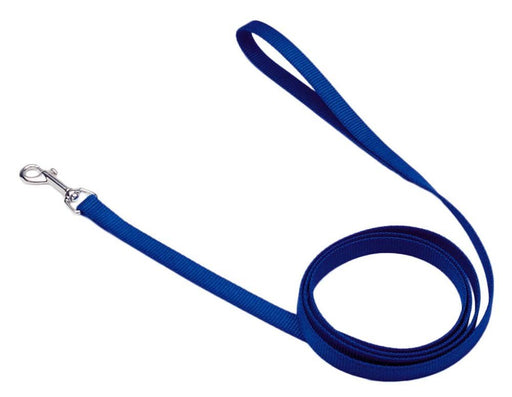 Coastal Single - Ply Nylon Dog Leash Blue 1ea/5/8 In X 6 ft - Petsplace.store