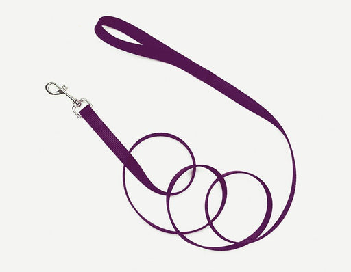 Coastal Single - Ply Nylon Dog Leash Purple 1ea/1 In X 6 ft - Petsplace.store