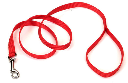 Coastal Single - Ply Nylon Dog Leash Red 1ea/3/4 In X 6 ft - Petsplace.store