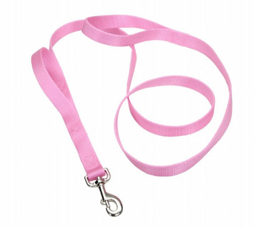 Coastal Single - Ply Nylon Leash Bright Pink1X6Ft - Petsplace.store