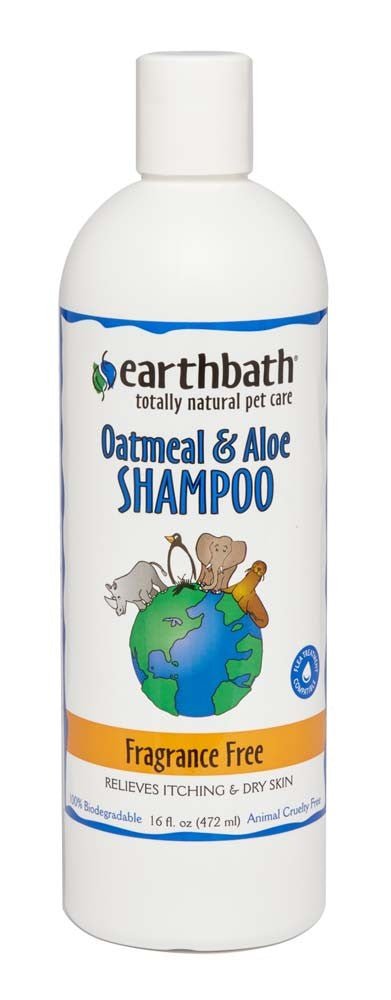 Earthbath Oatmeal & Aloe Shampoo, Fragrance Free 1ea/16 oz - Petsplace.store