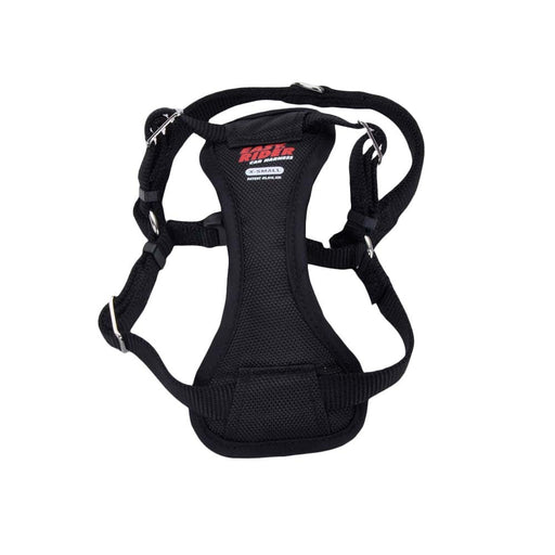 Easy Rider Adjustable Car Harness Black 1ea/12 - 18 in, XS - Petsplace.store