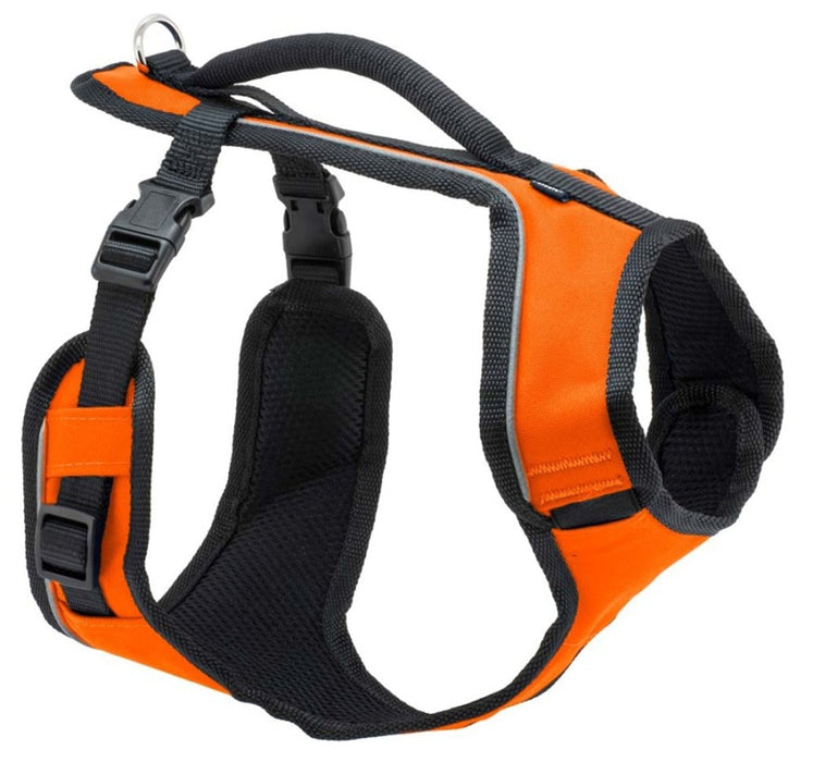 EasySport Comfortable Dog Harness Orange 1ea/LG - Petsplace.store