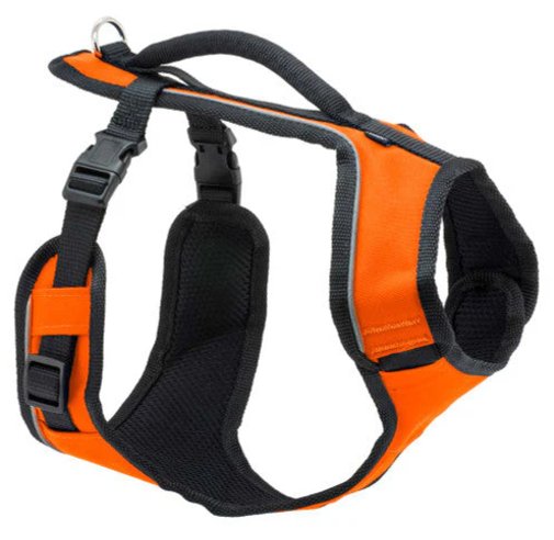 EasySport Comfortable Dog Harness Orange 1ea/MD - Petsplace.store