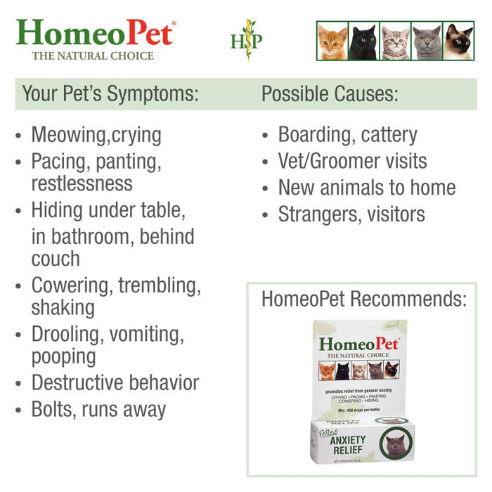 HomeoPet Feline Anxiety Relief Drops 1ea/15 ml - Petsplace.store