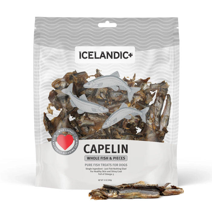 Icelandic Dog Capelin Fsh Whl Bulk 12 oz. 8 ea Per Box - Petsplace.store