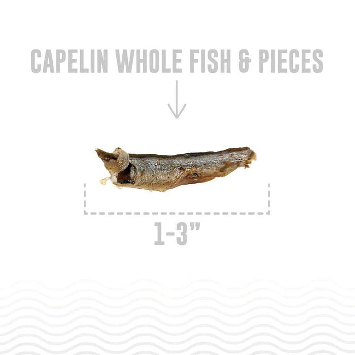 Icelandic Dog Capelin Fsh Whl Bulk 12 oz. 8 ea Per Box - Petsplace.store