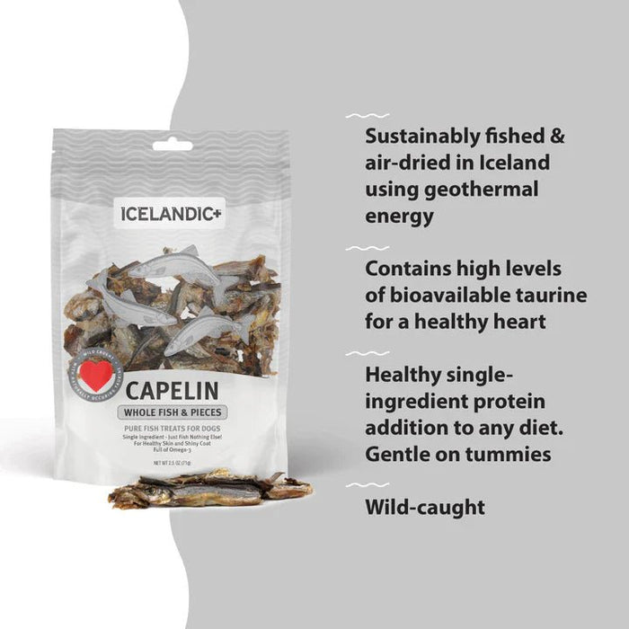 Icelandic Dog Capelin Fsh Whl Bulk 12 oz. 8 ea Per Box - Petsplace.store